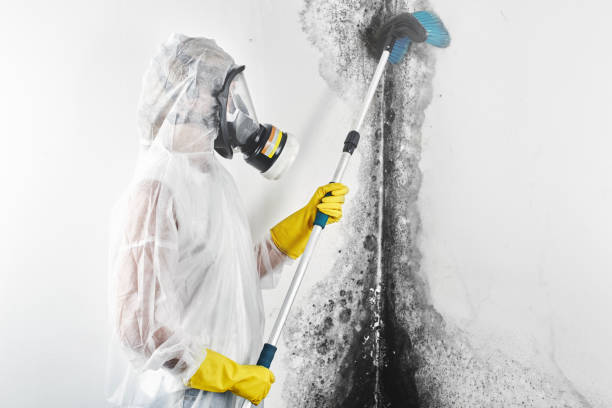 Mold Remediation for Rental Properties in Butler, OH