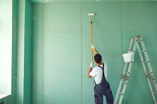 Best Mold Damage Restoration  in Butler, OH