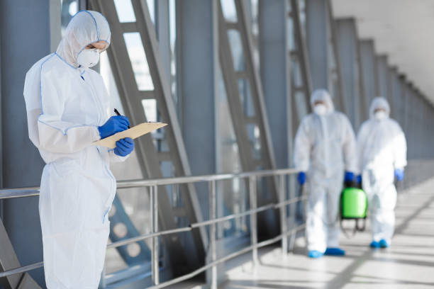 Best Black Mold Removal  in Butler, OH