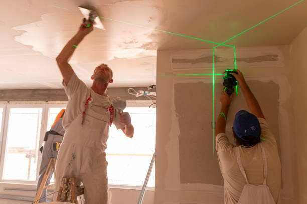 Professional Mold Removal in Butler, OH