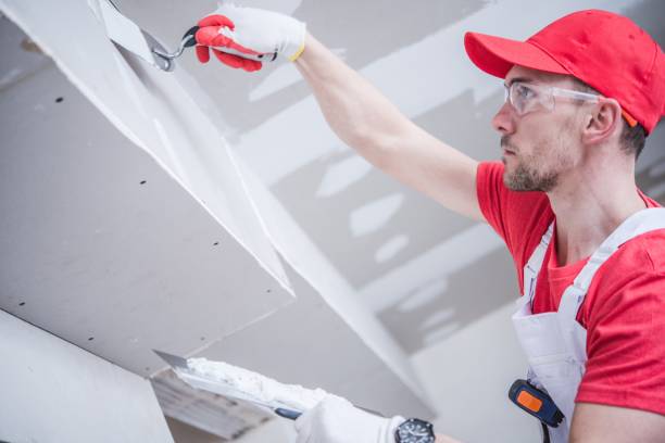 Best Emergency Mold Remediation  in Butler, OH