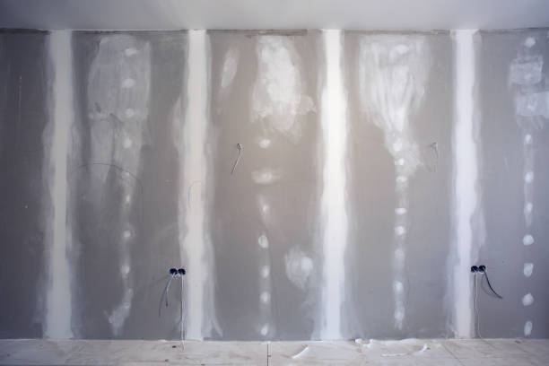 Best Basement Mold Removal  in Butler, OH